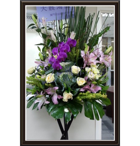 CBF-007